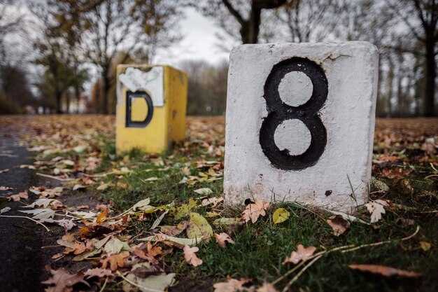 Использование четности и нечетности в программировании