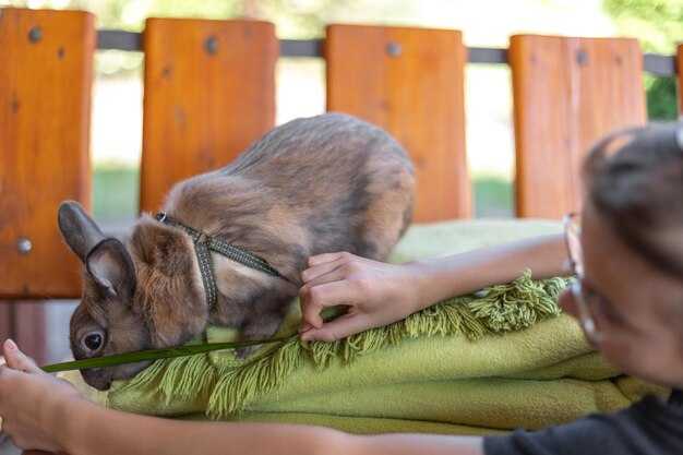 Полив: частота и способы