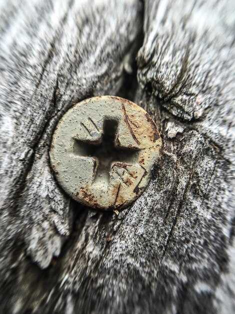 Влияние медвежьего когтя на личные качества владельца