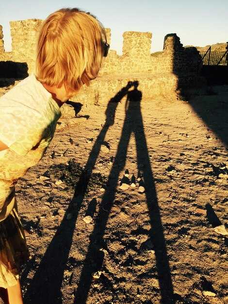 Как Линия Мажино воспринималась во французском обществе?