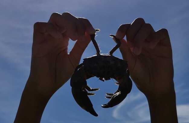 Сложности в доверии и открытости