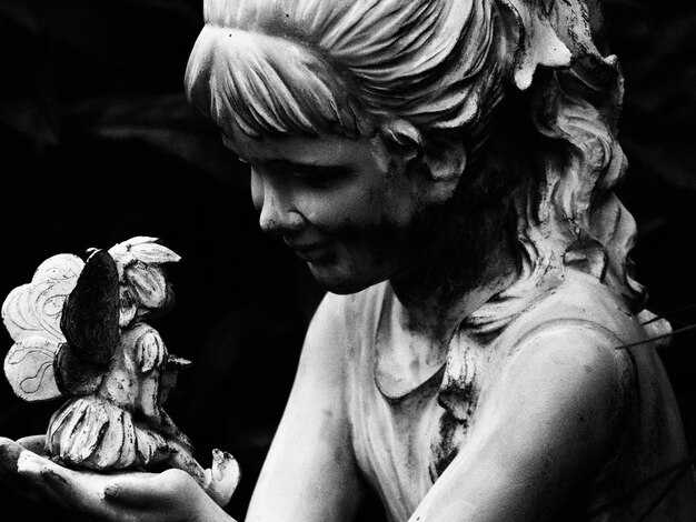 Как изменялось восприятие Венеры в разные исторические эпохи?