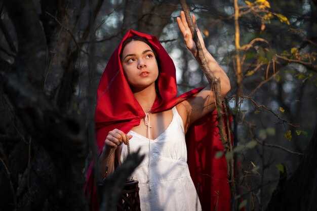 Роль Венди в Гильдии Хвост Феи