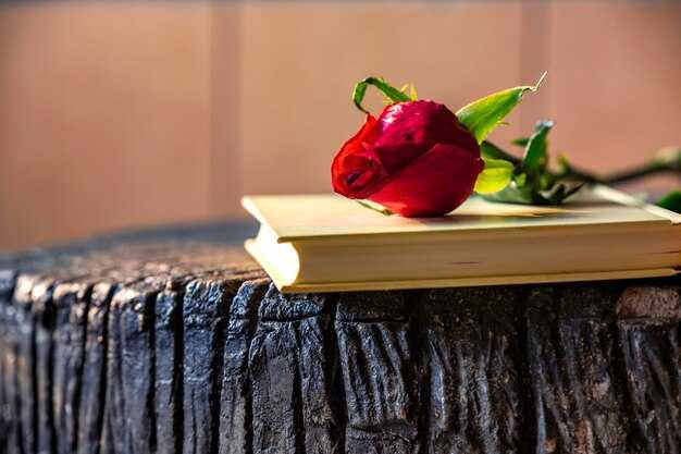 Использование Писания как оружия в борьбе