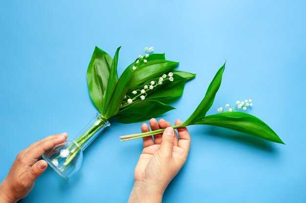 Пошаговая инструкция по удалению семян