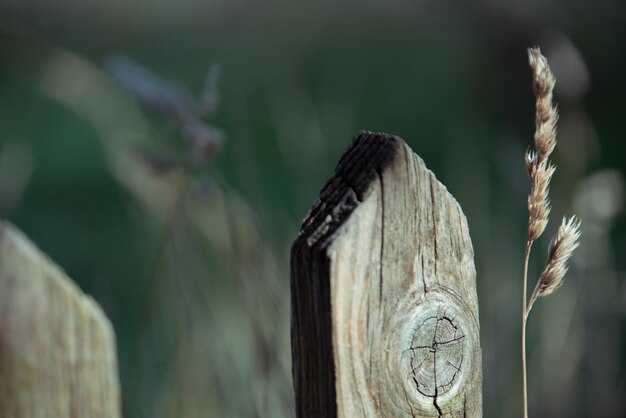 Механизмы искупления и покаяния в различных религиях