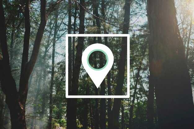 Сравнение радиальной ето с другими видами растительности