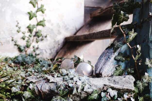 Использование заговоров и молитв для защиты