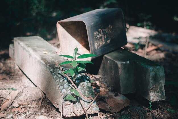Роль фотографий в магических ритуалах