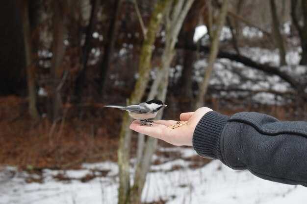 Практические советы по выбору