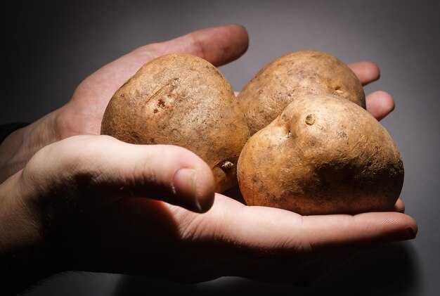 Сны о картошке и их влияние на реальную жизнь