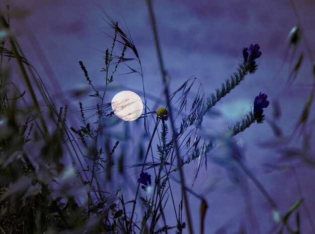 Психологические особенности людей, родившихся в этот день