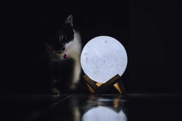 Примеры известных личностей, родившихся в двадцат пятом лунном дне