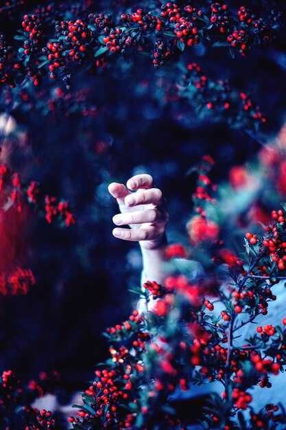 Этапы формирования идеи государственной независимости