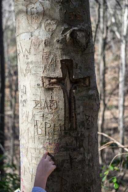 Социальные и культурные ассоциации имени Елдар