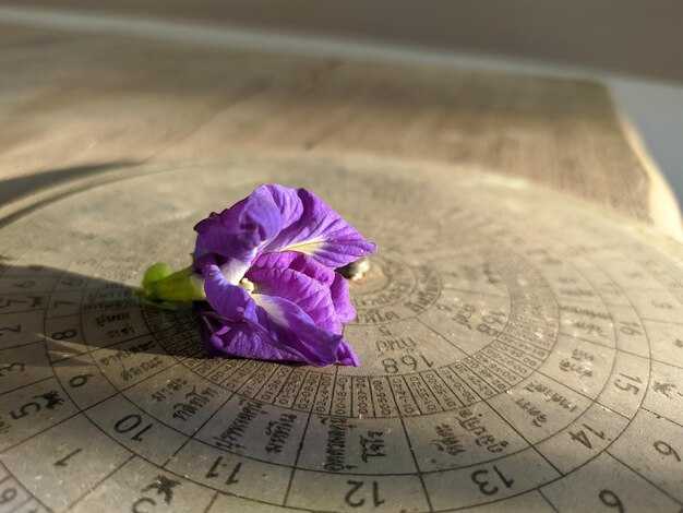 Греция как источник имени