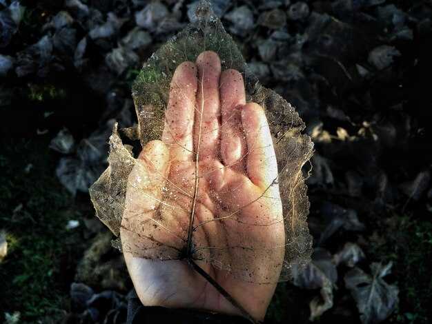 Зам Дуа: подходы и практические советы