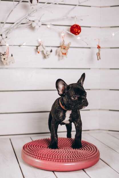 Уход за фигуркой и ее энергетические свойства