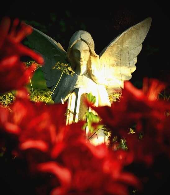 Значение жертвоприношений и даров