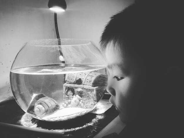 Советы по интерпретации рыб в контексте будущего