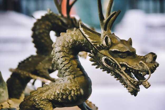 Выбор подходящего помещения для дракона