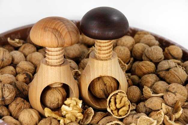 Использование глифов арахны в дизайне