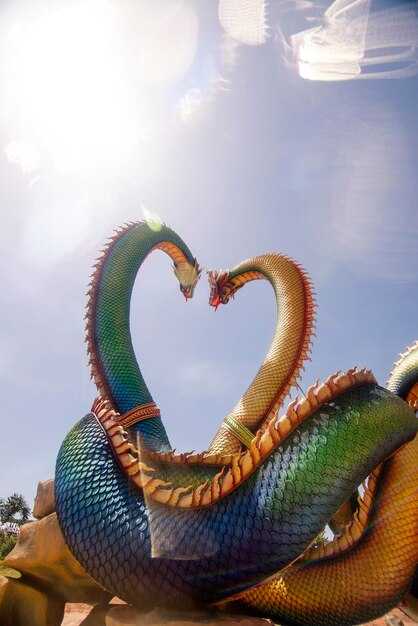 Влияние года Дракона на карьеру и профессиональную жизнь