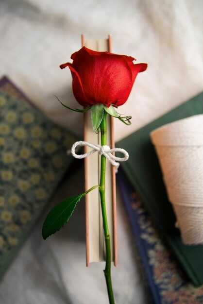 Влияние образа Лауры на последующие поколения художников