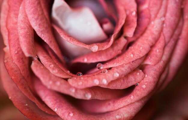 Географическое распространение имени