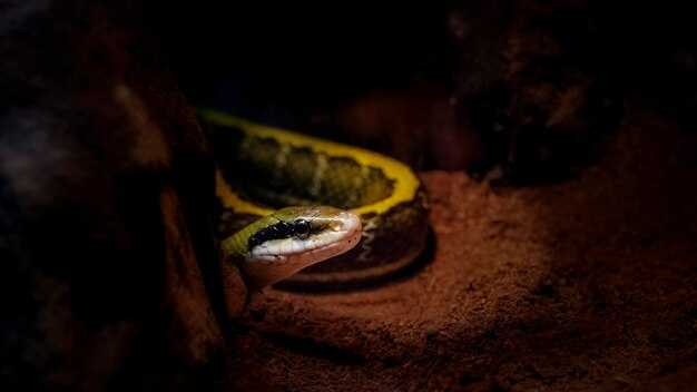 Как распознать появление огненного змея?