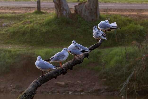 Трансформация и изменения в жизни