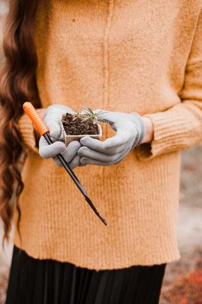 Как детали сна влияют на толкование