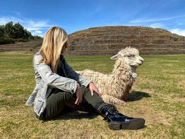 Как использовать сны о ламах в повседневной жизни?