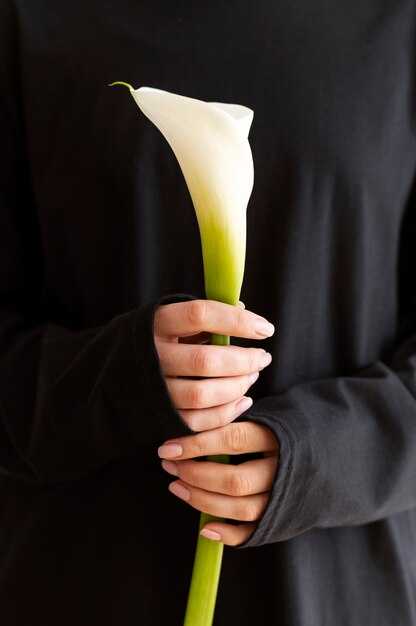 Что делать, если снится лилия?