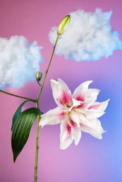 Эмоциональные ассоциации с лилиями в снах