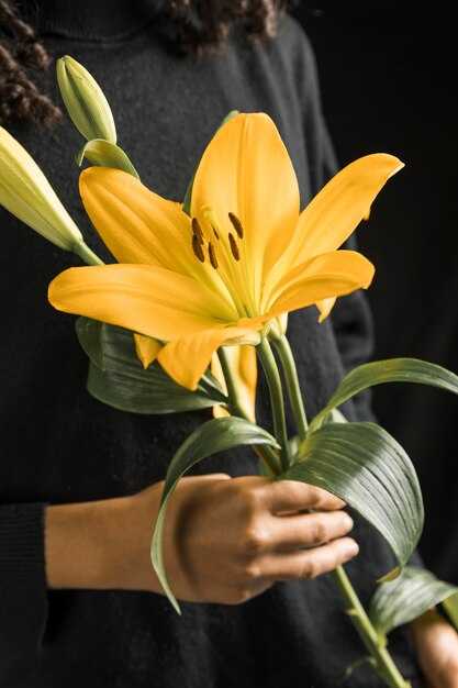 Лилия как символ чистоты и невинности