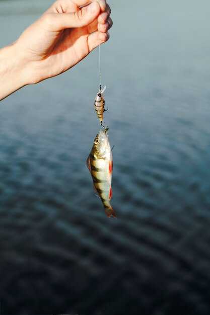 Что означает ловля карпа в общем контексте?