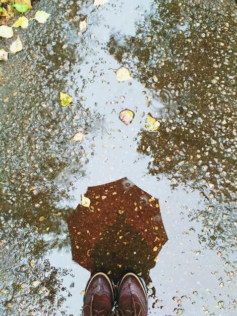 Что говорит лужа о внутреннем состоянии