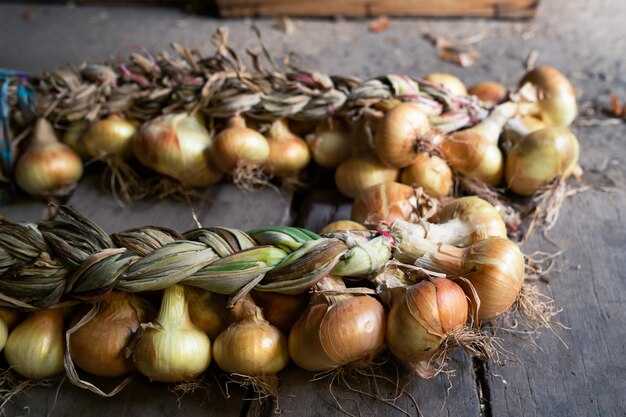 Толкование действий при посадке: как это повлияло на эмоции?