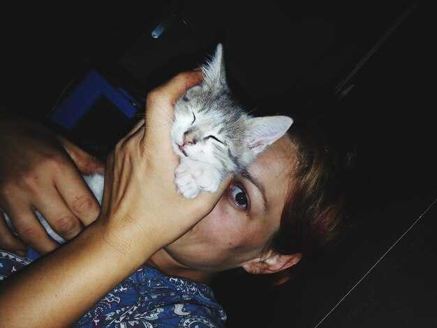 Что предпринять после сна о спасении утопающих котят?