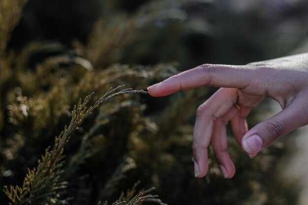 Что говорит сонник о тросте?