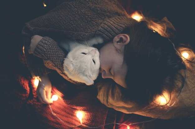 Число 4 как знак стабильности и порядка