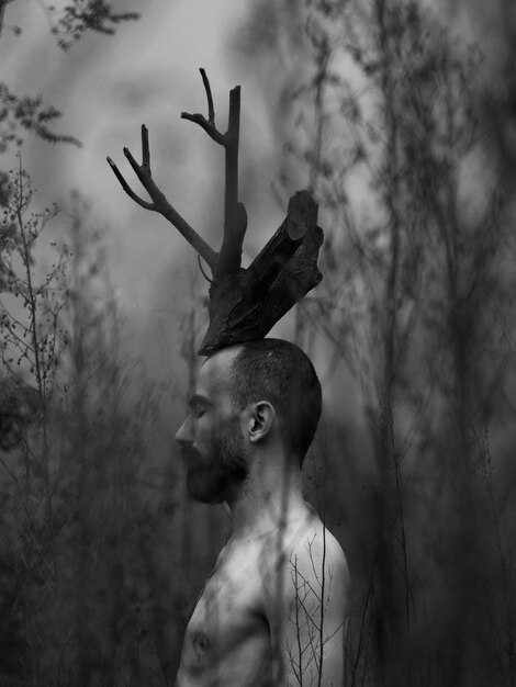 Толкование сна об убитом олене в зависимости от ситуации