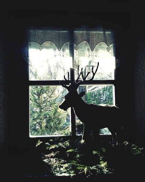 Как позитивные эмоции изменяют толкование?