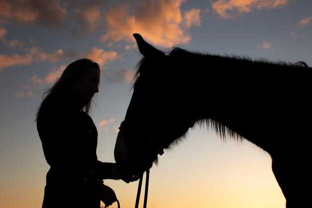 Как интерпретировать действия всадника в сне?