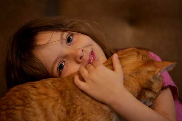 Какие аспекты жизни нужно учесть при толковании