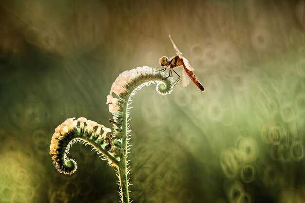 Что делать, если снятся гусеницы?