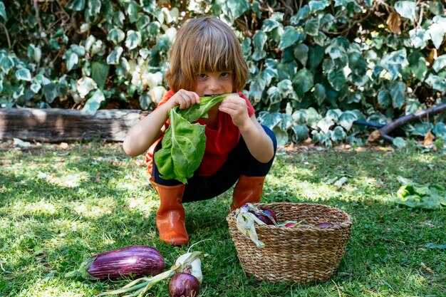 Разные цвета баклажанов: что они могут обозначать