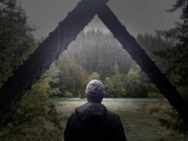 Эмоциональные переживания и их отражение в сновидениях