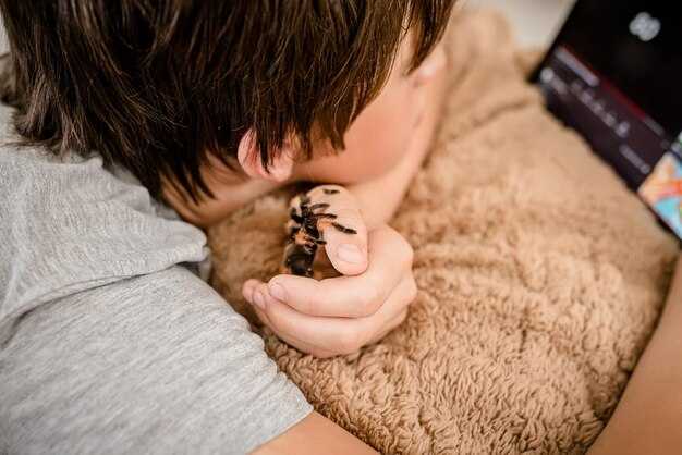 Толкование снов о змеях для мужчин и детей